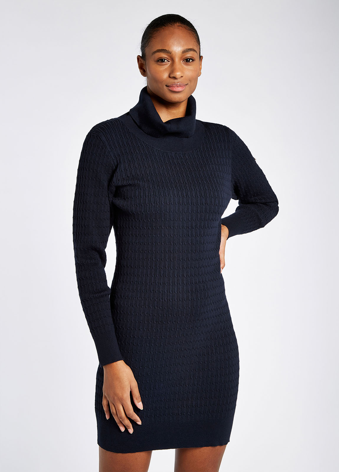 Raheen Fitted Dress - Navy